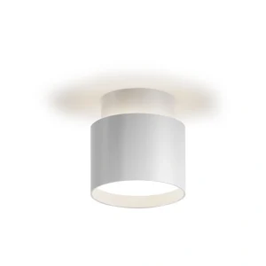 צמוד תקרה DARIA