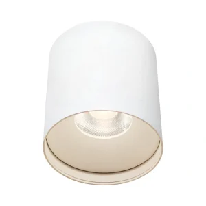 צמוד תקרה LISA