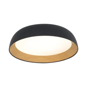 צמוד תקרה דגם OREN