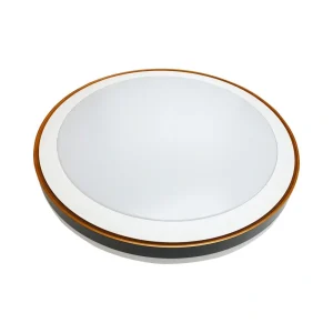 צמוד תקרה דגם ROXY