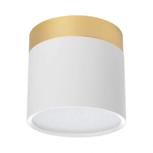 צמוד תקרה דגם TOPAZ